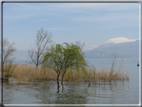 foto Lago di Garda
